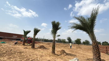 Property for sale in Sotanala, Behror