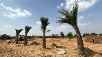 Property for sale in Sotanala, Behror