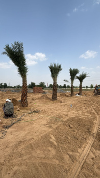 Property for sale in Sotanala, Behror