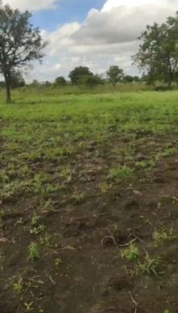 Beautiful Land in Kandi Sangareddy