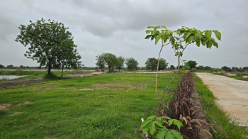 600 Sq. Yards Residential Plot For Sale In Thol, Ahmedabad