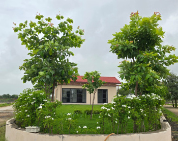 Property for sale in Thol, Ahmedabad