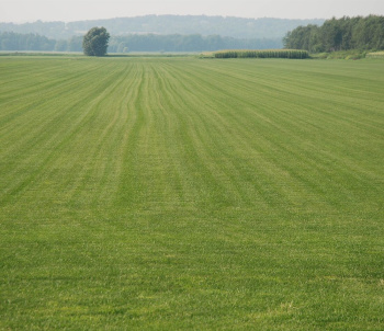 Kalrav Farms by A. Shridhar Group