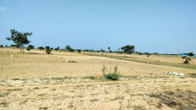 Residential Plot For Sale In Ponneri, Thiruvallur (600 Sq.ft.)