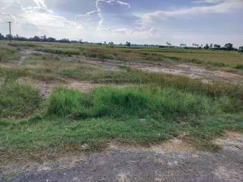 Agricultural/Farm Land for Sale in Kalakattur, Kanchipuram (21 Acre)