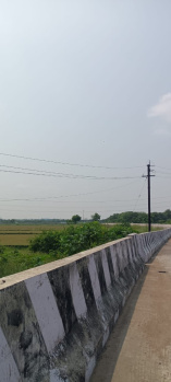 Agricultural/Farm Land for Sale in Walajabad, Kanchipuram (5.5 Acre)
