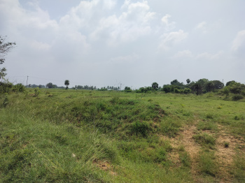 Property for sale in Kalathur, Kanchipuram