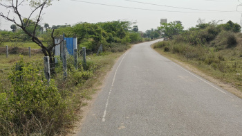 Agricultural/Farm Land for Rent in Cheyyar, Tiruvannamalai (10 Acre)