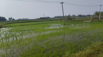 Property for sale in Vandavasi, Tiruvannamalai