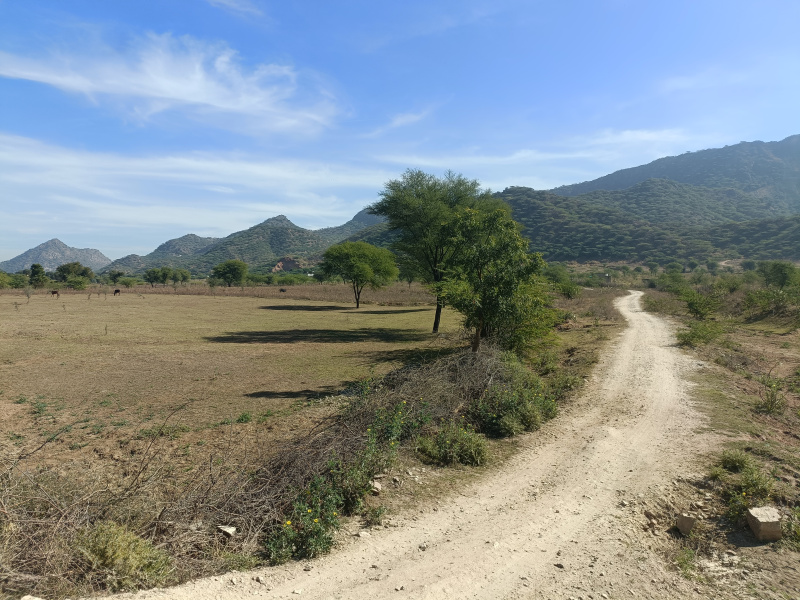 Residential Plot For Sale In Saradhana, Ajmer (38 Bigha)