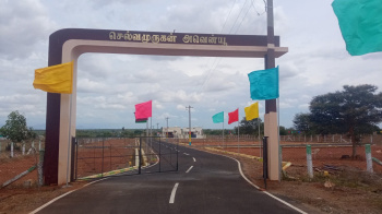 1163 Sq.ft. Residential Plot For Sale In Thanthoni, Karur