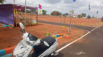 1294 Sq.ft. Residential Plot For Sale In Vengamedu, Karur