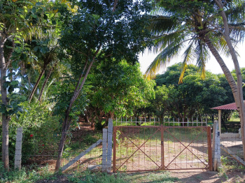 1.40 Acre Agricultural/Farm Land for Sale in Madavilagam, Karur