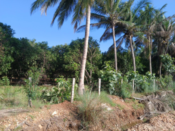 Property for sale in Manavasi, Karur