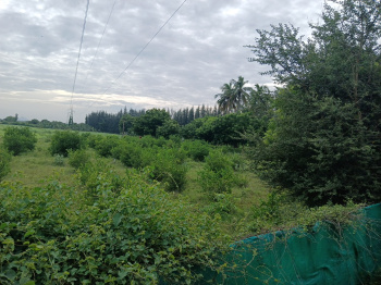 9.8 Acre Agricultural/Farm Land for Sale in Madavilagam, Karur