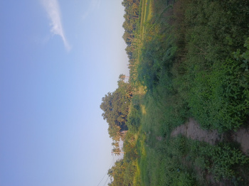 Property for sale in Puliyur, Karur