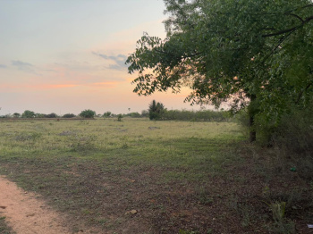 Agricultural/Farm Land for Sale in Uppidamangalam, Karur (6 Acre)