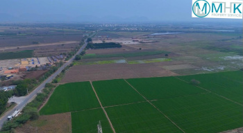 20Acr farm Land for Sale in Vijayawada