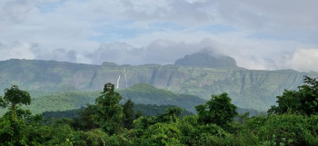 Residential Plot for Sale in Pali, Raigad (2 Acre)