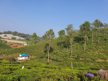 Property for sale in Coonoor, Nilgiris