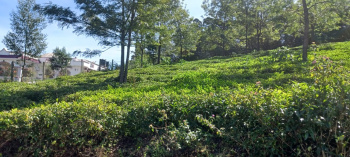 Property for sale in Ketti, Nilgiris