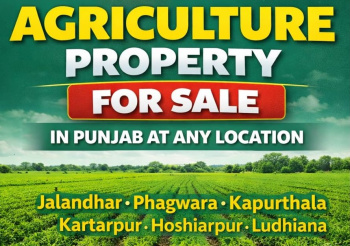 25 Acre Agricultural/Farm Land for Sale in Tanda Road, Jalandhar
