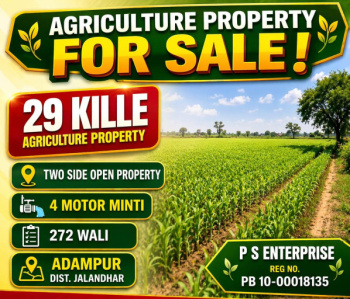 Agricultural/Farm Land for Sale in Adampur, Jalandhar (29 Acre)