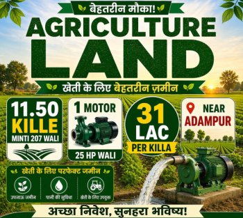 Agricultural/Farm Land for Sale in Adampur, Jalandhar (11.50 Acre)