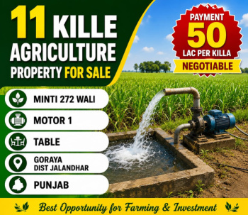 Agricultural/Farm Land for Sale in Adampur, Jalandhar (11 Sq.ft.)