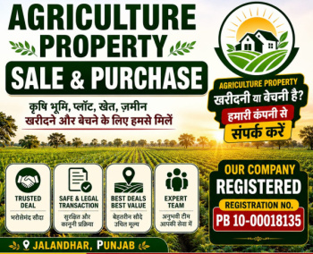 Agricultural/Farm Land for Sale in Alawalpur, Jalandhar (10 Ares)