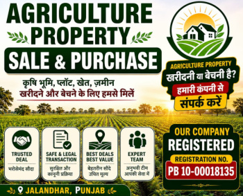 Agricultural/Farm Land for Sale in Adampur, Jalandhar (4 Acre)