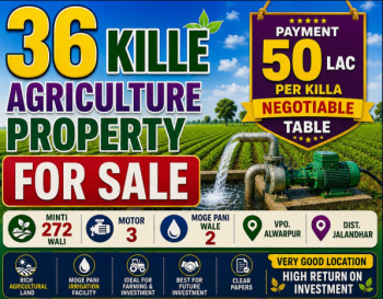 Agriculture property For Sale Adampur