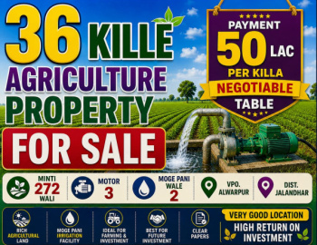 Property for sale in Alawalpur, Jalandhar
