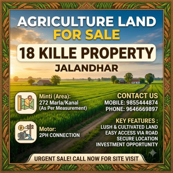 Agricultural/Farm Land for Sale in Jandiala, Jalandhar (18 Acre)