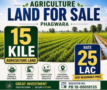 15 Acre Agricultural/Farm Land for Sale in Chahal Nagar, Phagwara