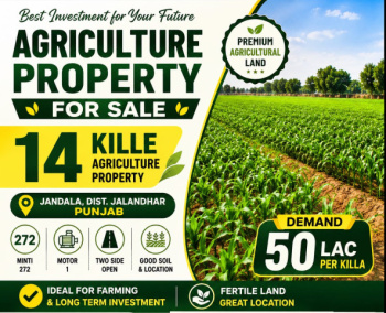 Property for sale in Jandiala, Jalandhar
