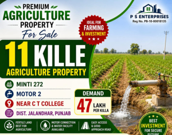 11 Acre Agricultural/Farm Land for Sale in 66 Feet Road, Jalandhar