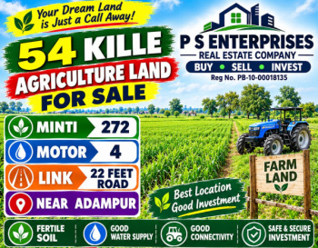 Agricultural/Farm Land for Sale in Adampur, Jalandhar (54 Acre)