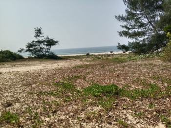 Property for sale in Vengurla, Sindhudurg