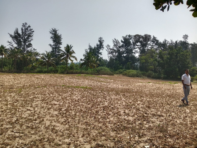 300000 Acre Agricultural/Farm Land For Sale In Colva, South Goa, Goa