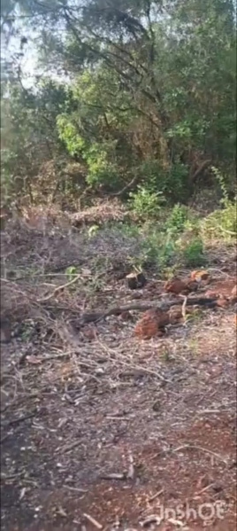 Area 500Acres, Single Contiguous Patch