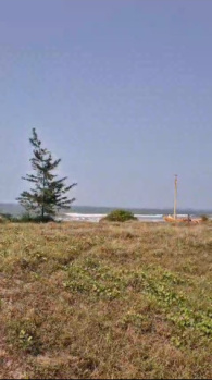 Residential Plot for Sale in Malvan, Sindhudurg (1.5 Acre)