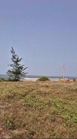 Residential Plot For Sale In Malvan, Sindhudurg (1.5 Acre)