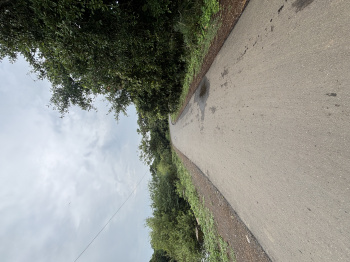 Property for sale in Mahim Road, Palghar