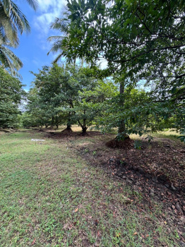 Property for sale in Dahanu, Palghar