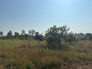Property for sale in Jawhar, Palghar