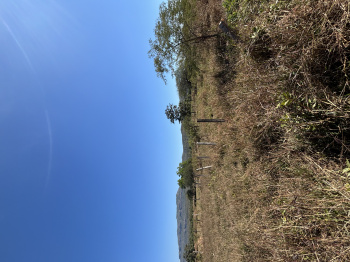 Property for sale in Palghar East