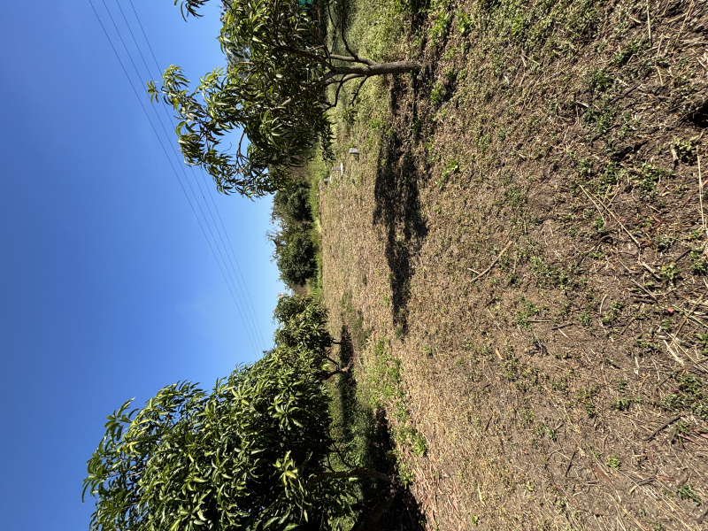 Residential Plot for Sale in Kelwa, Palghar (11 Guntha)