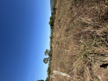 Residential Plot for Sale in Kelwa, Palghar (3 Guntha)