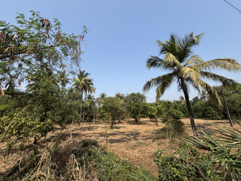 Residential Plot for Sale in Kharekuran, Palghar (2 Acre)